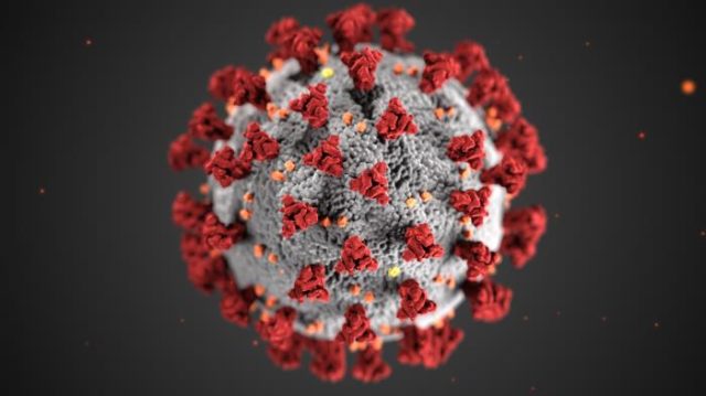 Corona Virus Image
