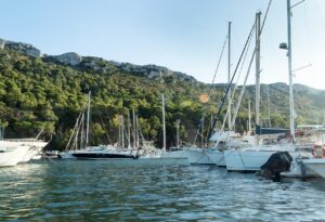 Image by <a href="https://pixabay.com/users/markstock-17224710/?utm_source=link-attribution&utm_medium=referral&utm_campaign=image&utm_content=5539137">Marco Di Benedetto</a> from <a href="https://pixabay.com//?utm_source=link-attribution&utm_medium=referral&utm_campaign=image&utm_content=5539137">Pixabay</a>